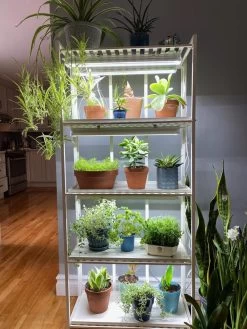 Oslo 4-Tier LED Grow Light Garden -Outdoor Garden Care Shop 8609220 03IN tif