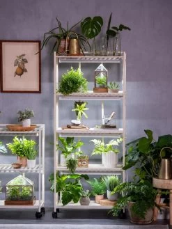 Oslo 4-Tier LED Grow Light Garden -Outdoor Garden Care Shop 8609220 4116 tif