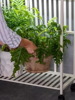 Oslo 2-Tier LED Grow Light Garden, 2 Fixtures -Outdoor Garden Care Shop 8609220 4122 tif