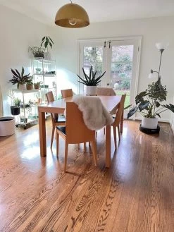 Oslo 2-Tier LED Grow Light Garden, 2 Fixtures -Outdoor Garden Care Shop 8609221 01IN tif