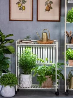 Oslo 2-Tier LED Grow Light Garden, 2 Fixtures -Outdoor Garden Care Shop 8609221 7236 tif