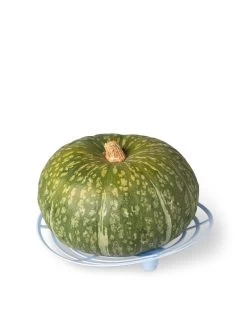Melon And Squash Cradles, Set Of 6 6 Melon And Squash Cradles, Set Of 6 -Outdoor Garden Care Shop 8609464 5204 tif