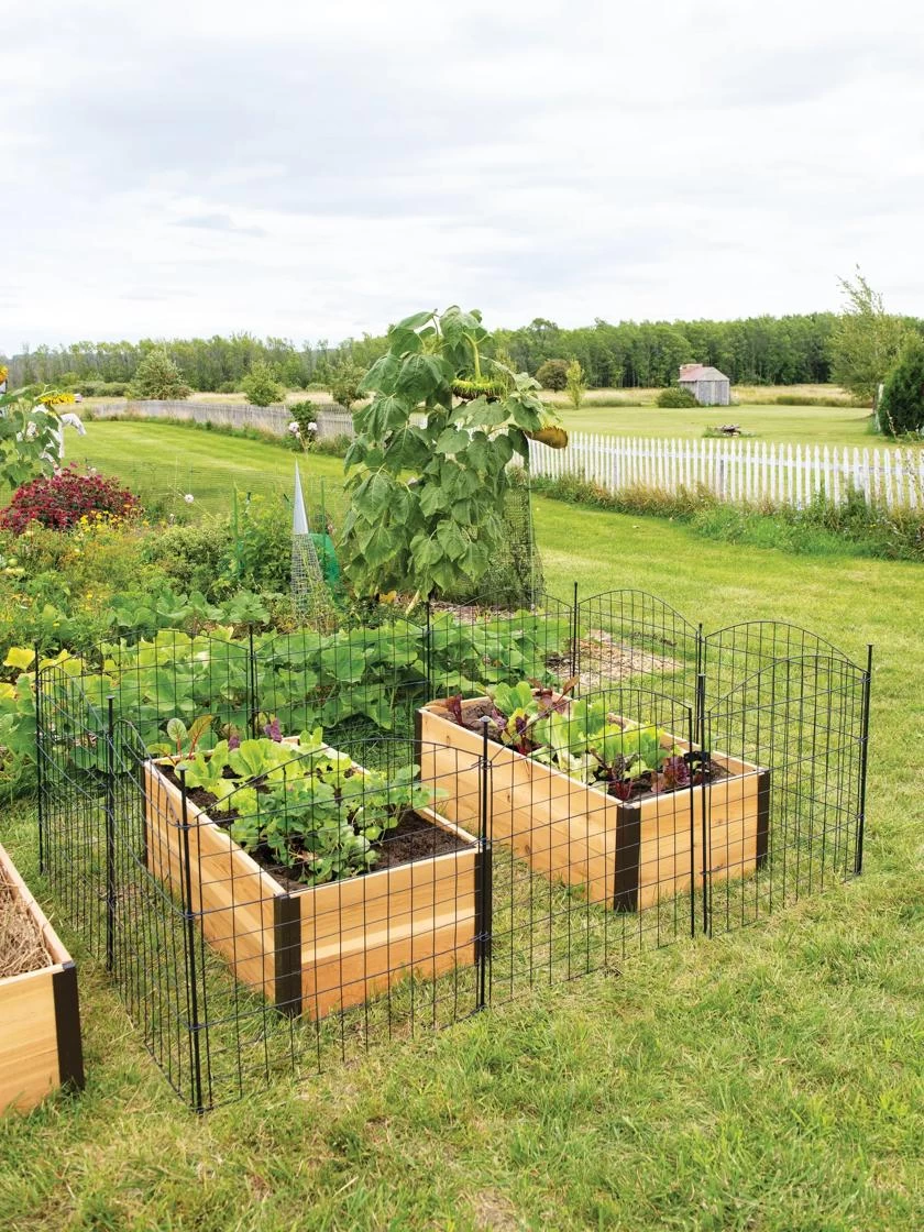 6 Panel Critter Fence With Gate 6 6 Panel Critter Fence With Gate - Image 6