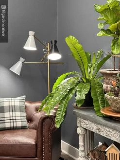 Adjustable 3-Arm Grow Lamp -Outdoor Garden Care Shop 8609868 01IN tif