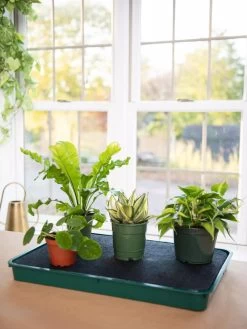 Self-Watering Tray -Outdoor Garden Care Shop 8609872 9021 tif