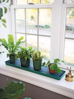 Self-Watering Windowsill Tray 7 Self-Watering Windowsill Tray -Outdoor Garden Care Shop 8609873 9011 tif