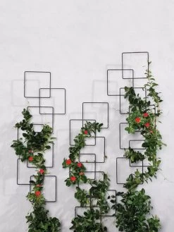 Building Blocks Wall Trellis, 45" -Outdoor Garden Care Shop 8610183 5811 tif