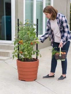 Gardener’s Victory Self-Watering Planter Garden Kit -Outdoor Garden Care Shop 8610239 06002 tif