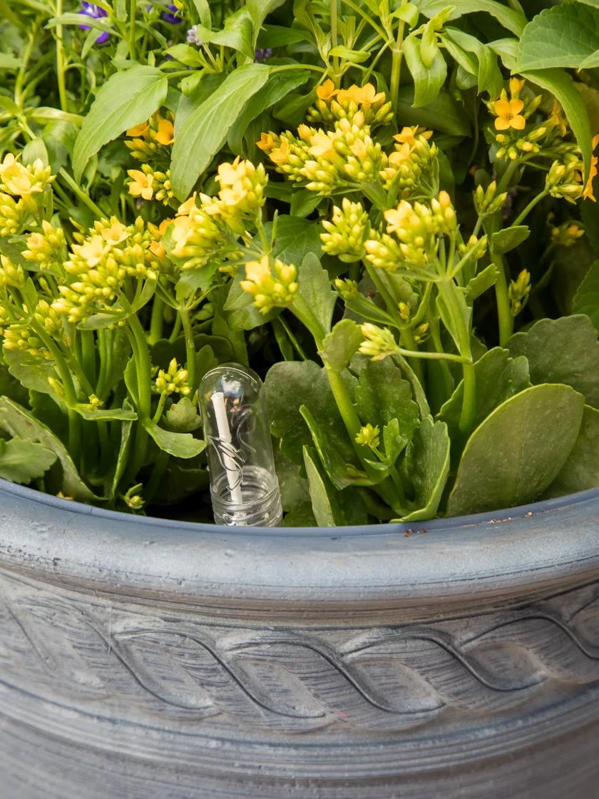 Adjustable Self-Watering Insert For Pots And Planters 7 Adjustable Self-Watering Insert For Pots And Planters - Image 7