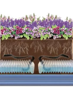 Adjustable Self-Watering Insert For Pots And Planters 15 Adjustable Self-Watering Insert For Pots And Planters -Outdoor Garden Care Shop 8610250 SWInsert art Trough tif