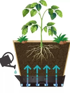 VegTrug® Build-a-Barrel Wooden Planter With Self-Watering Reservoir Tray, 18" -Outdoor Garden Care Shop 8610253 05V tif