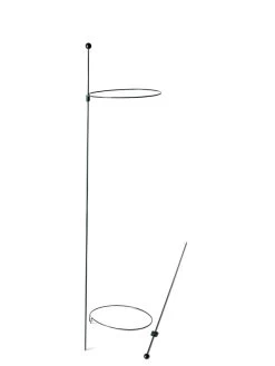 Peacock Mini Plant Support Rings 8", Set Of 2 -Outdoor Garden Care Shop 8610388 9565 tif