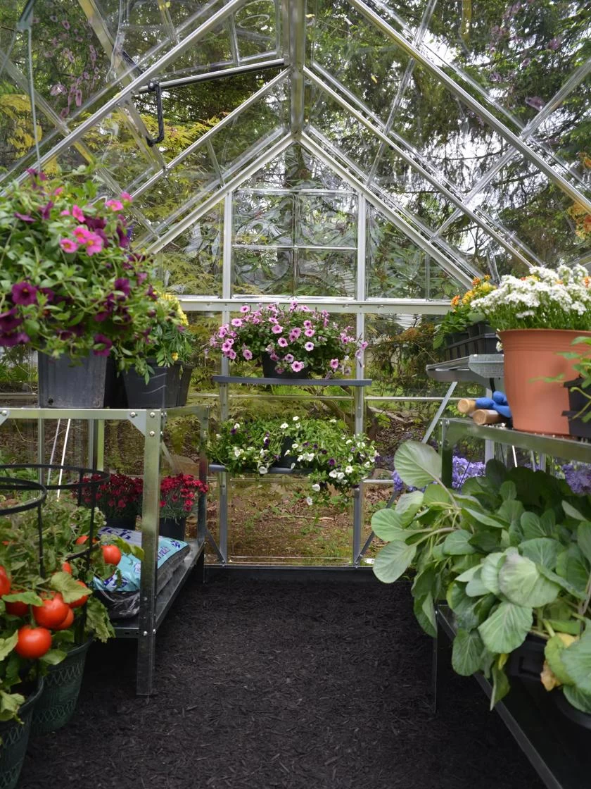 Canopia® By Palram Harmony™ Greenhouse, 6' X 14' 4 Canopia® By Palram Harmony™ Greenhouse, 6' X 14' - Image 4