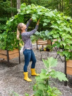 2’ X 8’ Arch Trellis For Planter Boxes -Outdoor Garden Care Shop 8610798 050 tif