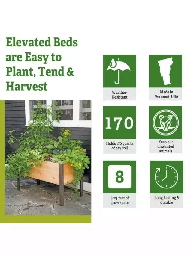 Self-Watering Eco-Stained Elevated Planter Box, 2' X 4' 2 Self-Watering Eco-Stained Elevated Planter Box, 2' X 4' - Image 2
