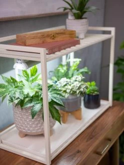 Oslo 1-Tier LED Grow Light Garden -Outdoor Garden Care Shop 8611002 2002 tif