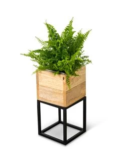 Tartu Elevated Square Planters -Outdoor Garden Care Shop 8611004 038