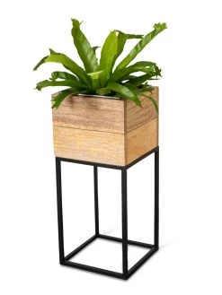 Tartu Elevated Square Planters -Outdoor Garden Care Shop 8611005 036