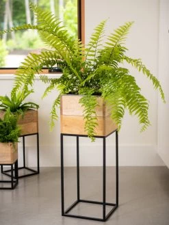 Outdoor Garden Care Shop -Outdoor Garden Care Shop 8611006 034