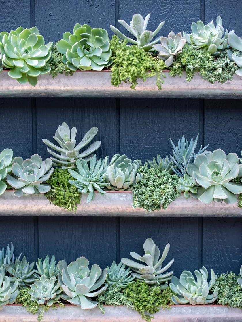 3-Tier Vertical Wall Planter, 3' 4 3-Tier Vertical Wall Planter, 3' - Image 4