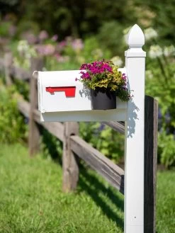 Mailbox Planter 6 Mailbox Planter -Outdoor Garden Care Shop 8611026 014 tif