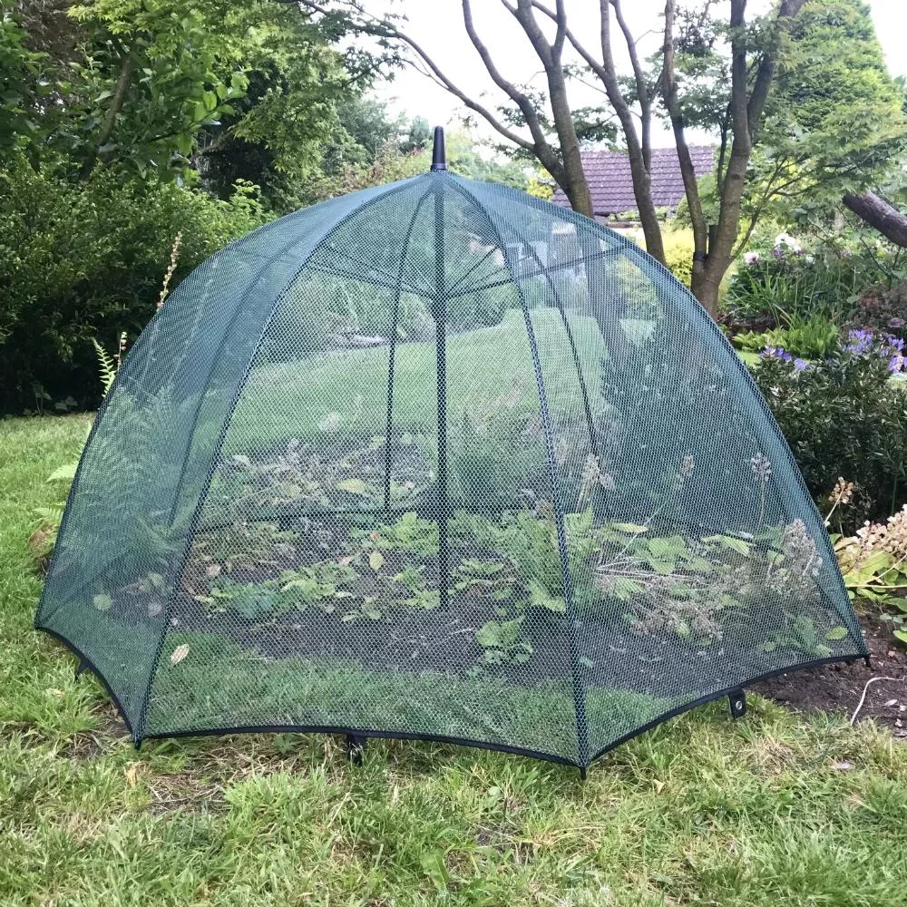 GardenSkill Pop N Crop Plant Umbrella 2 GardenSkill Pop N Crop Plant Umbrella - Image 2