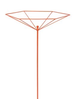 Parasol Plant Supports, Set Of 3 -Outdoor Garden Care Shop 8611129 3840 tif