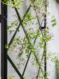 Lattice Gable Wall Trellis -Outdoor Garden Care Shop 8611130 011