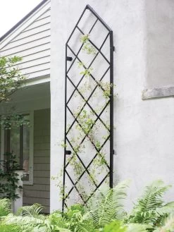 Lattice Gable Wall Trellis