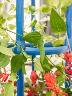 Fleur De Lis Obelisk, 67" -Outdoor Garden Care Shop 8611663 0607 tif