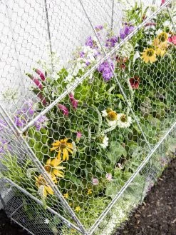 Chicken Wire Flat Back Crop Coop -Outdoor Garden Care Shop 8611701 153 tif