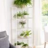 Oslo 4-Tier Plant Stand With Folding Shelves