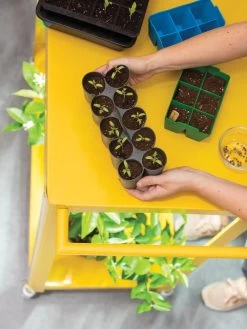 Sili-Seedlings® Seedling Tray, 10-Cell 9 Sili-Seedlings® Seedling Tray, 10-Cell -Outdoor Garden Care Shop 8611886 374 tif