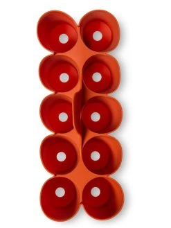 Sili-Seedlings® Seedling Tray, 10-Cell 10 Sili-Seedlings® Seedling Tray, 10-Cell -Outdoor Garden Care Shop 8611886 3821 tif