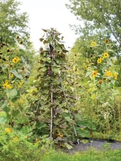 DIY Connector For Teepee Trellis 15 DIY Connector For Teepee Trellis -Outdoor Garden Care Shop 8611896 062 tif