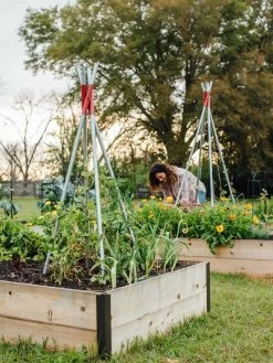 DIY Connector For Teepee Trellis 19 DIY Connector For Teepee Trellis -Outdoor Garden Care Shop 8611896 38 tif