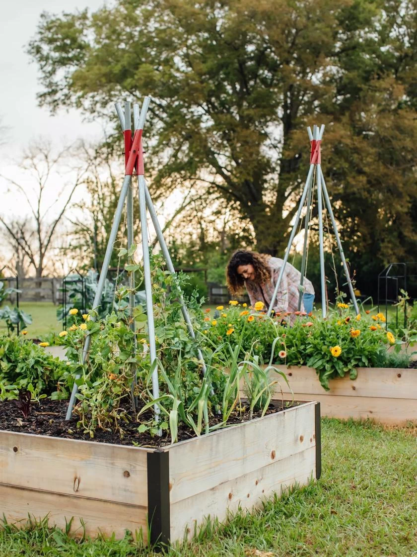 DIY Connector For Teepee Trellis 8 DIY Connector For Teepee Trellis - Image 8