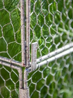 Chicken Wire Crop Coop Extension 10 Chicken Wire Crop Coop Extension -Outdoor Garden Care Shop 8611940 232 tif