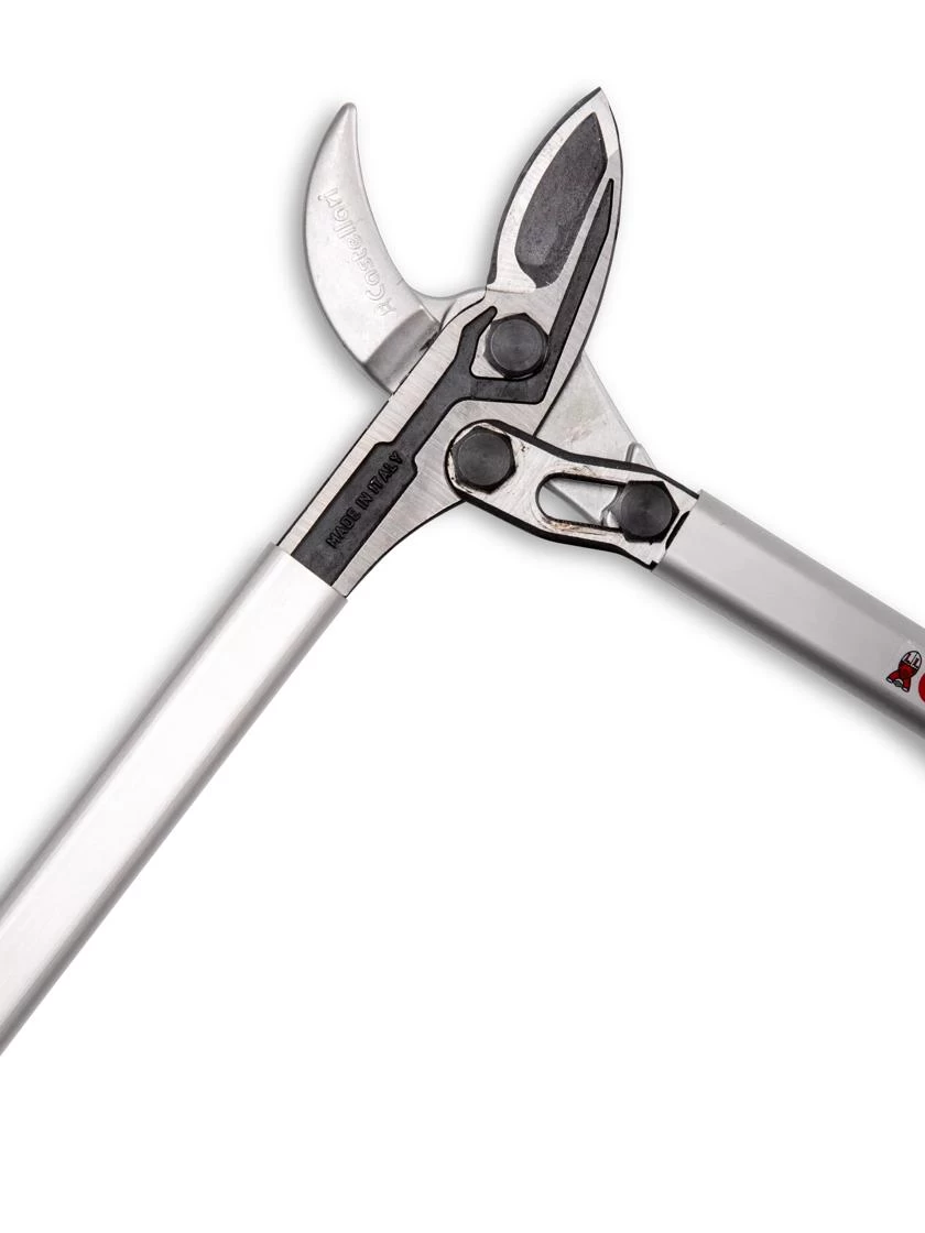 Castellari Long-Handled Anvil Lopper 5 Castellari Long-Handled Anvil Lopper - Image 5