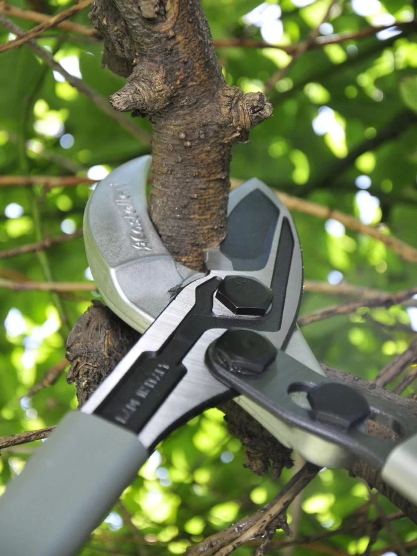 Castellari Long-Handled Anvil Lopper 2 Castellari Long-Handled Anvil Lopper - Image 2