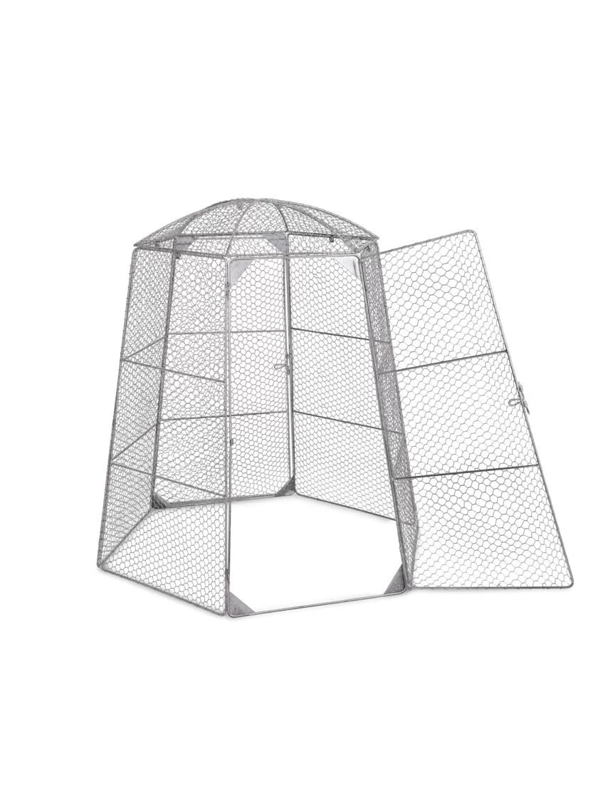 Chicken Wire Super Dome 7 Chicken Wire Super Dome - Image 7