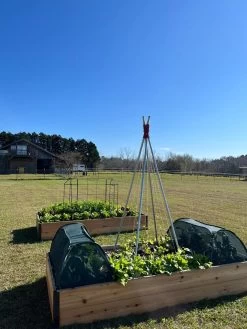 Insect And Pest Net Row Protector -Outdoor Garden Care Shop 8611985 04 tif