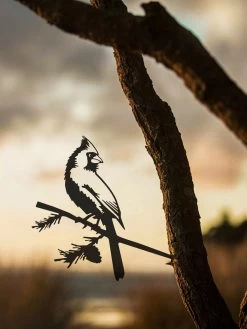 Metalbird Cardinal -Outdoor Garden Care Shop 8612021 03v