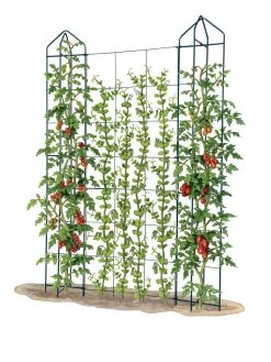 Zenith Trellis -Outdoor Garden Care Shop 8612036 art tif