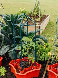 Deluxe Tomato Halos, Set Of 2 13 Deluxe Tomato Halos, Set Of 2 -Outdoor Garden Care Shop 8612045 221 tif