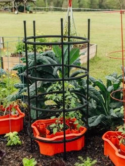 Deluxe Tomato Halos, Set Of 2 14 Deluxe Tomato Halos, Set Of 2 -Outdoor Garden Care Shop 8612045 228 tif