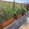Nice Corten Trough Planters With Trellis