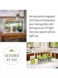 Tabletop Grow Kit -Outdoor Garden Care Shop 8612507 4