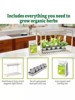 Tabletop Grow Kit -Outdoor Garden Care Shop 8612507 6