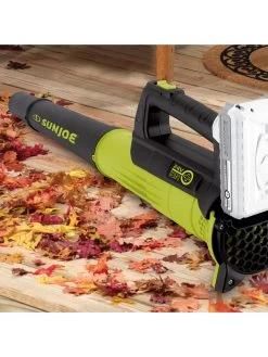 Sun Joe® 24V ION+ 2.0-Ah Cordless Compact Turbine Jet Blower, 100-MPH 350-CFM -Outdoor Garden Care Shop 8612516 11v